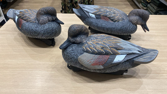 Gadwall FA Series LIVE-HD 6 Males